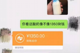 定州专业讨债公司，追讨消失的老赖